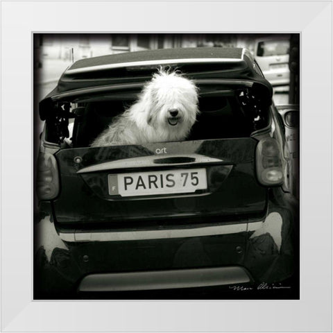 Paris Dog I White Modern Wood Framed Art Print by Olivier, Marc