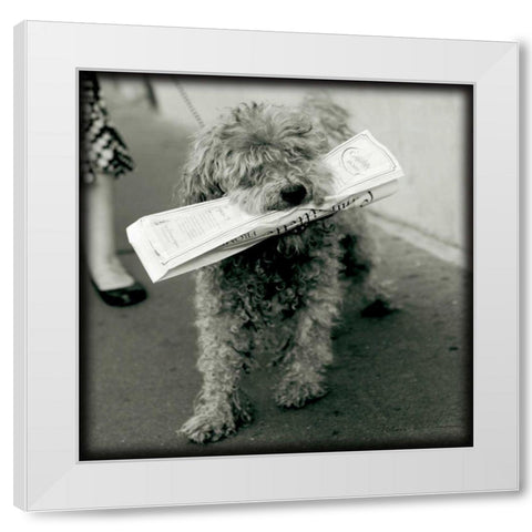 Paris Dog II White Modern Wood Framed Art Print by Olivier, Marc