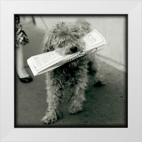 Paris Dog II White Modern Wood Framed Art Print by Olivier, Marc