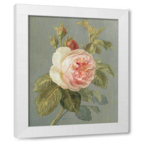 Heirloom Pink Rose White Modern Wood Framed Art Print by Nai, Danhui