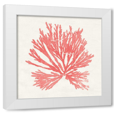 Pacific Sea Mosses II Coral White Modern Wood Framed Art Print by Wild Apple Portfolio