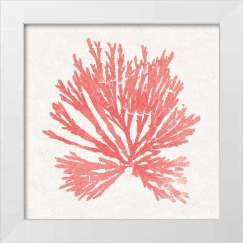 Pacific Sea Mosses II Coral White Modern Wood Framed Art Print by Wild Apple Portfolio