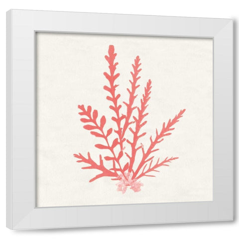 Pacific Sea Mosses III Coral White Modern Wood Framed Art Print by Wild Apple Portfolio