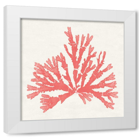 Pacific Sea Mosses IV Coral White Modern Wood Framed Art Print by Wild Apple Portfolio