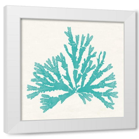 Pacific Sea Mosses IV Aqua White Modern Wood Framed Art Print by Wild Apple Portfolio