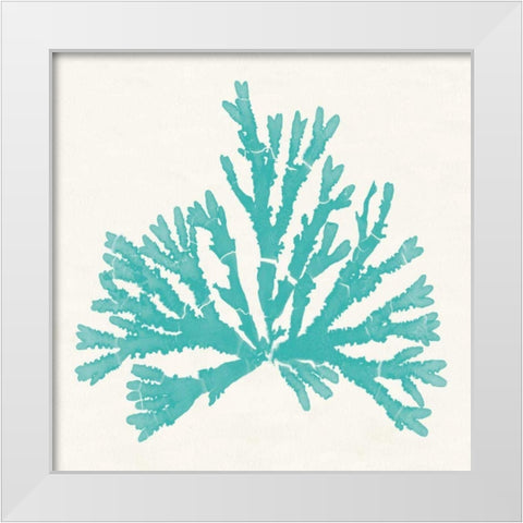 Pacific Sea Mosses IV Aqua White Modern Wood Framed Art Print by Wild Apple Portfolio