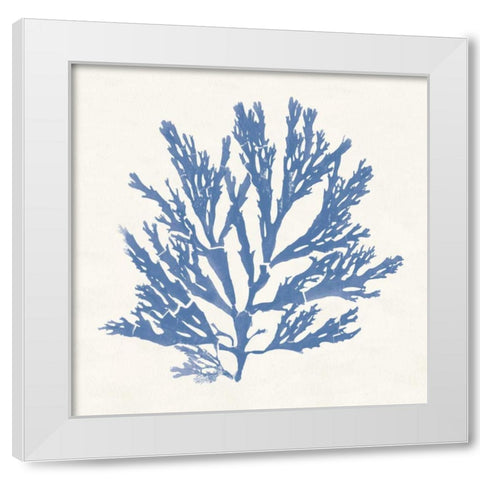Pacific Sea Mosses I Light Blue White Modern Wood Framed Art Print by Wild Apple Portfolio