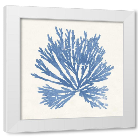 Pacific Sea Mosses II Light Blue White Modern Wood Framed Art Print by Wild Apple Portfolio