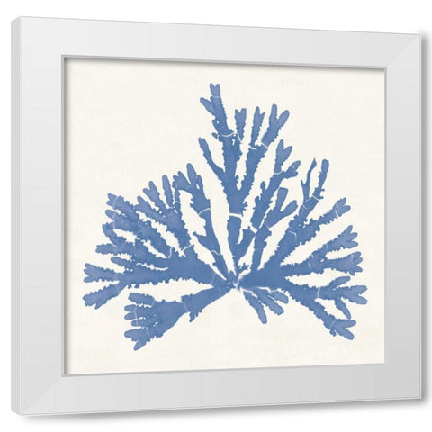 Pacific Sea Mosses IV Light Blue White Modern Wood Framed Art Print by Wild Apple Portfolio