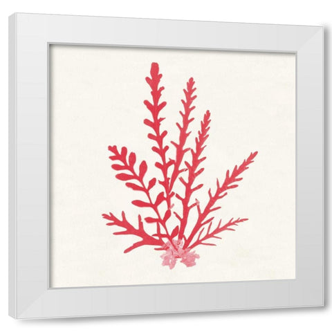 Pacific Sea Mosses III Red White Modern Wood Framed Art Print by Wild Apple Portfolio