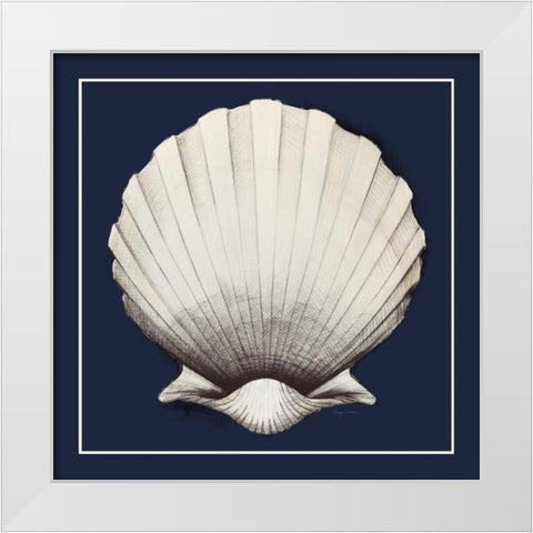 Coastal Shell II with Border Navy White Modern Wood Framed Art Print by Tillmon, Avery