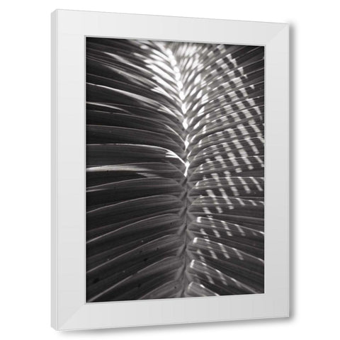 Palm Detail I BW White Modern Wood Framed Art Print by Wild Apple Portfolio