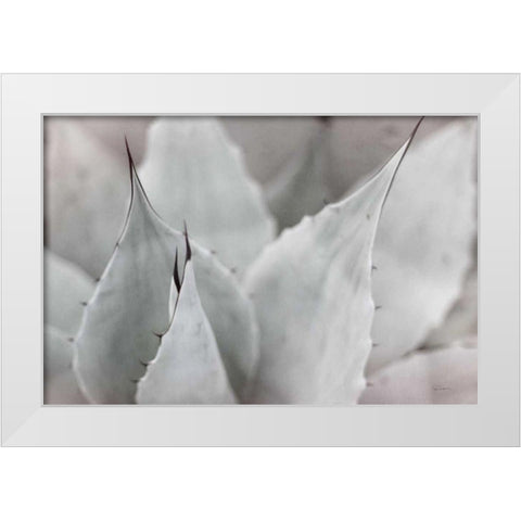 Dream Desert VI BWC White Modern Wood Framed Art Print by Schlabach, Sue