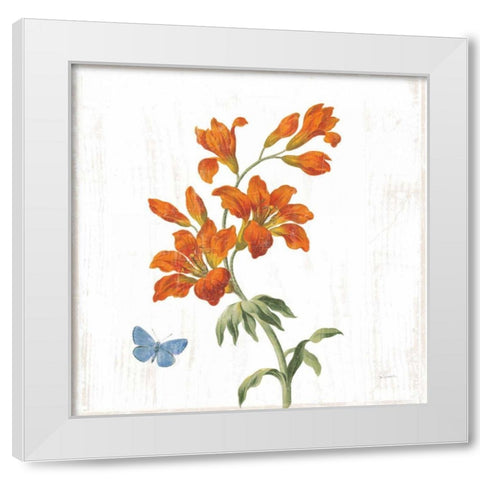 White Barn Flowers VII Sq White Modern Wood Framed Art Print by Schlabach, Sue