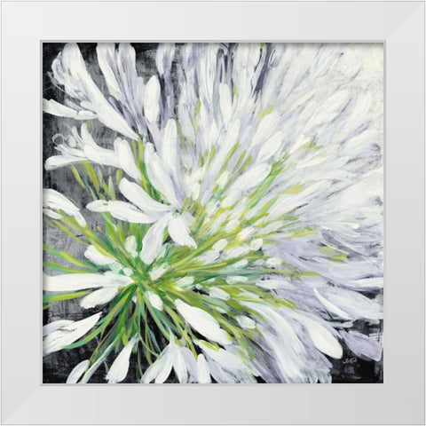 Cleome Splash II Black White Modern Wood Framed Art Print by Purinton, Julia