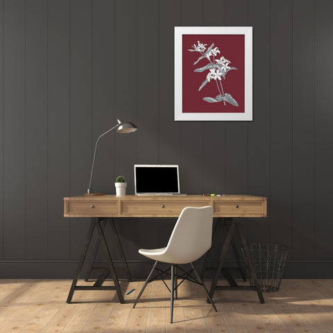 Pomegranate Botanical IV White Modern Wood Framed Art Print by Wild Apple Portfolio