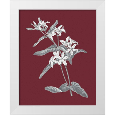 Pomegranate Botanical IV White Modern Wood Framed Art Print by Wild Apple Portfolio