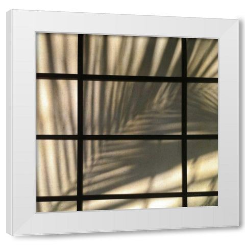 Palm Window White Modern Wood Framed Art Print by Goldstein, Ed
