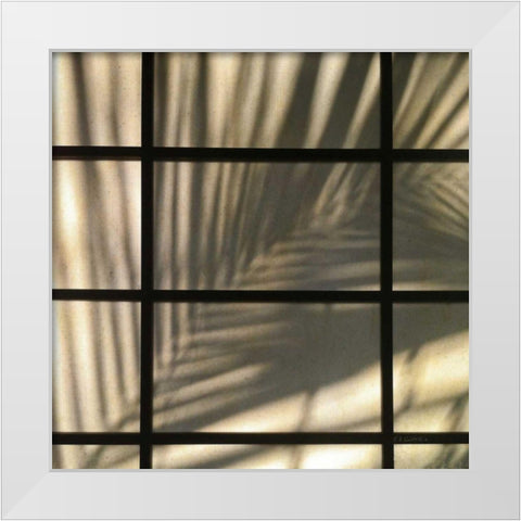 Palm Window White Modern Wood Framed Art Print by Goldstein, Ed