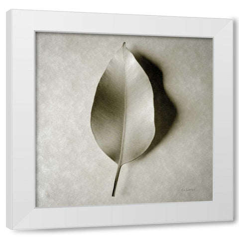One Leaf White Modern Wood Framed Art Print by Goldstein, Ed