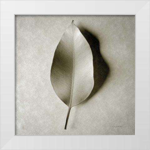One Leaf White Modern Wood Framed Art Print by Goldstein, Ed