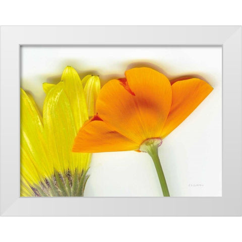 Flower Friends White Modern Wood Framed Art Print by Goldstein, Ed