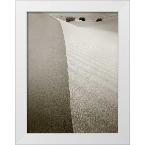 Desert Edge White Modern Wood Framed Art Print by Goldstein, Ed