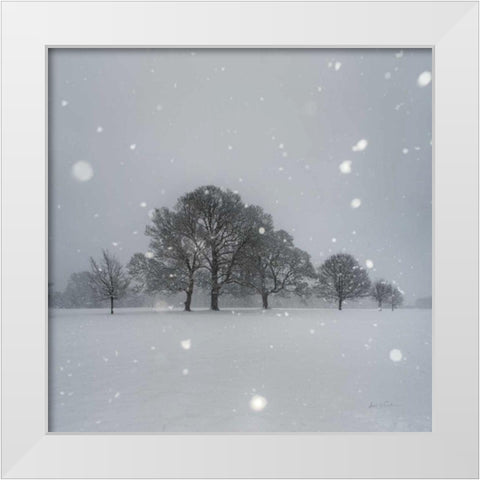 Trees in Snow White Modern Wood Framed Art Print by Eichman, Andre