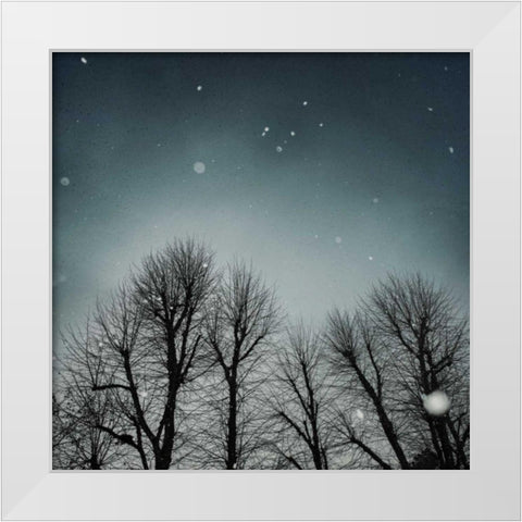 Winter Sky White Modern Wood Framed Art Print by Eichman, Andre