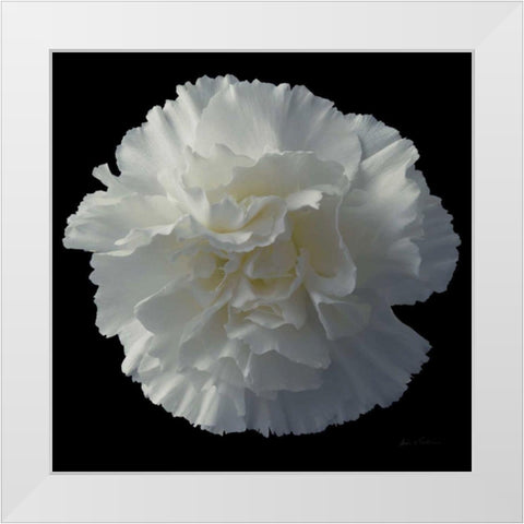 Floral Majesty III White Modern Wood Framed Art Print by Eichman, Andre
