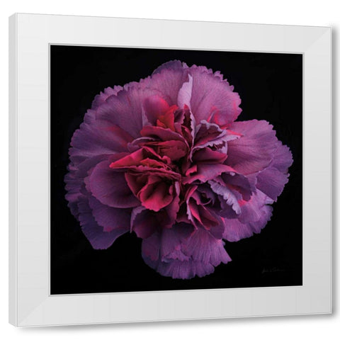 Floral Majesty IV White Modern Wood Framed Art Print by Eichman, Andre