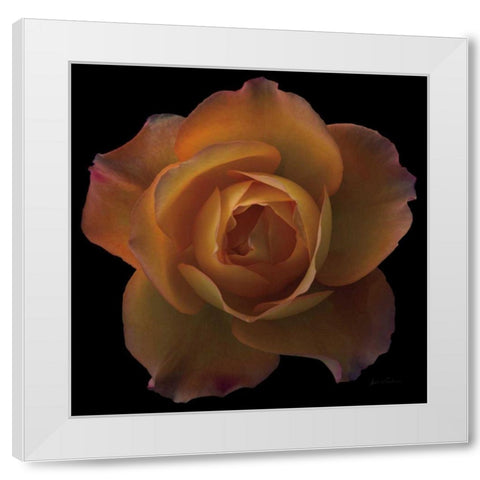 Floral Majesty V White Modern Wood Framed Art Print by Eichman, Andre