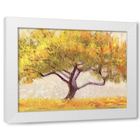 Apricot Tree White Modern Wood Framed Art Print by Novak, Shirley