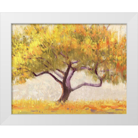 Apricot Tree White Modern Wood Framed Art Print by Novak, Shirley