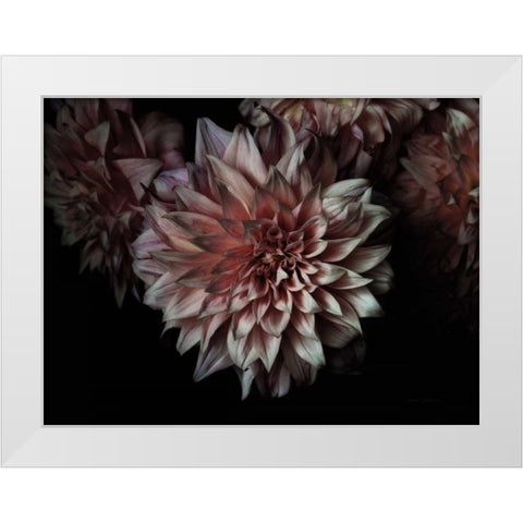 Peach Dahlias White Modern Wood Framed Art Print by Catterall, Elise