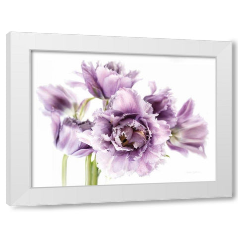 Purple Fringed Tulips I White Modern Wood Framed Art Print by Catterall, Elise