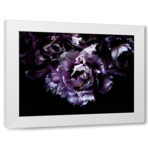 Purple Fringed Tulips II White Modern Wood Framed Art Print by Catterall, Elise