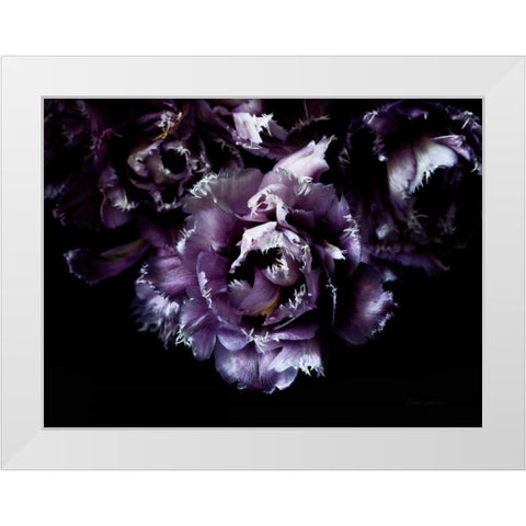 Purple Fringed Tulips II White Modern Wood Framed Art Print by Catterall, Elise