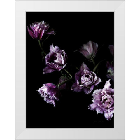 Purple Fringed Tulips III White Modern Wood Framed Art Print by Catterall, Elise