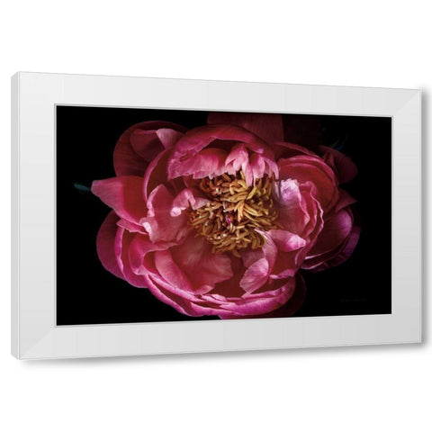 Coral Peony White Modern Wood Framed Art Print by Catterall, Elise
