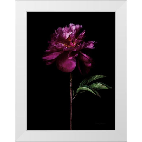 Peony Portrait White Modern Wood Framed Art Print by Catterall, Elise