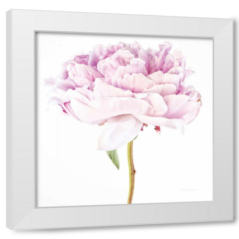 Single Pink Peony White Modern Wood Framed Art Print by Catterall, Elise