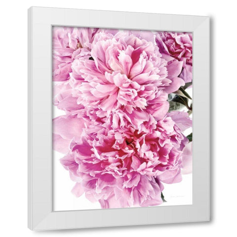 Pink Peony Cluster White Modern Wood Framed Art Print by Catterall, Elise
