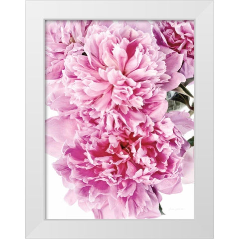 Pink Peony Cluster White Modern Wood Framed Art Print by Catterall, Elise