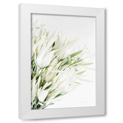 Leucadendron White Modern Wood Framed Art Print by Catterall, Elise