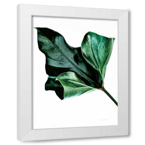 Monstera White Modern Wood Framed Art Print by Catterall, Elise