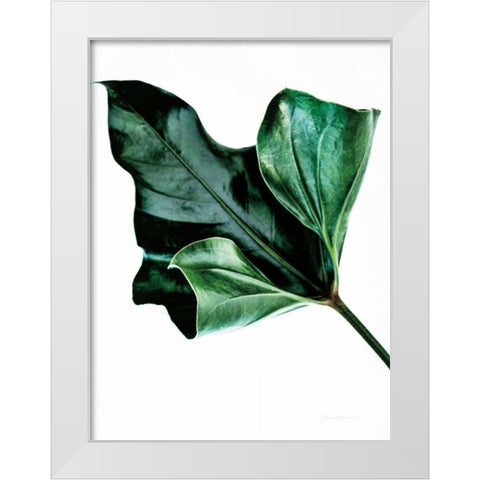 Monstera White Modern Wood Framed Art Print by Catterall, Elise