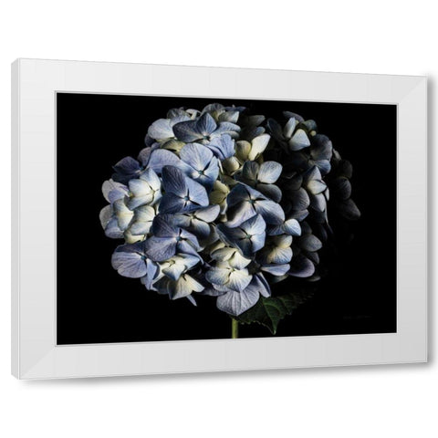 Pale Blue Hydrangea White Modern Wood Framed Art Print by Catterall, Elise