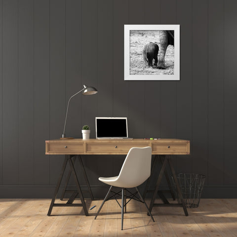 Mama and Baby Elephant II White Modern Wood Framed Art Print by Aledanda