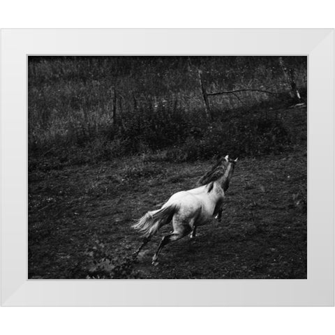 Running Horse White Modern Wood Framed Art Print by Aledanda